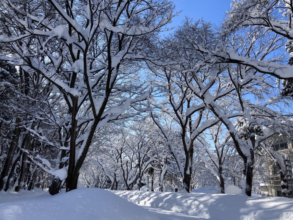 Snow-covered streets in Sapporo during winter (January)